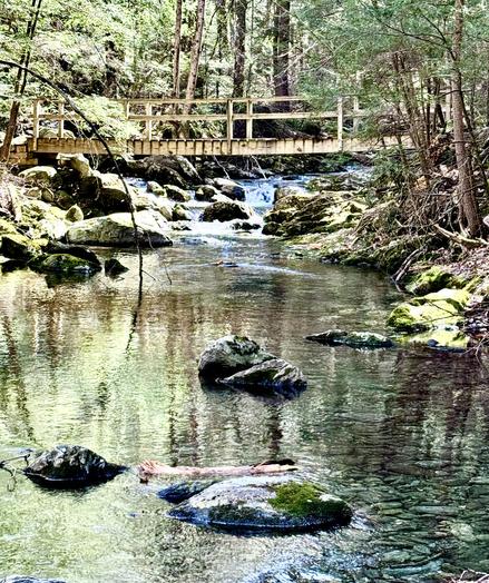 Photo looking upstream of a stream with a footbridge crossing it.  The bridge seems relatively new, as the wood is not yet stained from the weather.  The stream is in a beautiful green forested area and has many large boulders.  The foreground of the stream is somewhat reflective and there is a small cascading waterfall seen beyond the bridge.

Alander Mt. Trail.  Mt. Washington State Forest, Massachusetts.