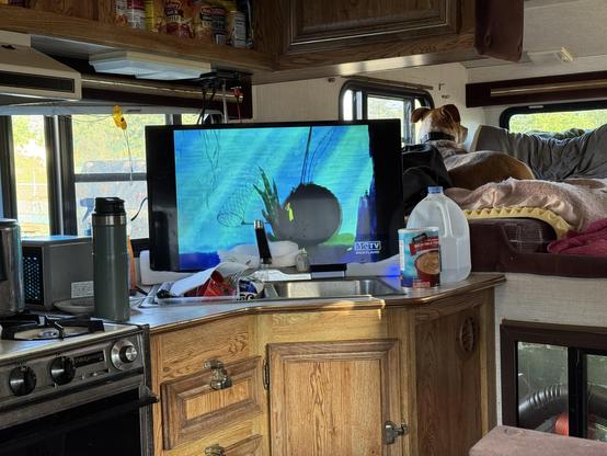 An interior of a camper featuring a kitchen area with a stove and sink. A television displays an underwater scene, while a dog rests on a bed in the background. Various items, including a water jug and food cans, are visible on the countertop