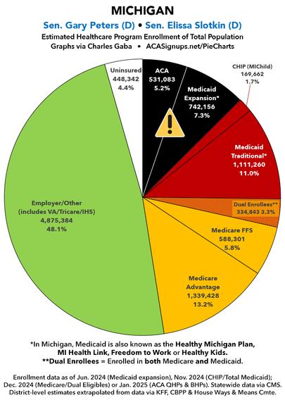 Michigan: Breakout of healthcare coverage for entire population