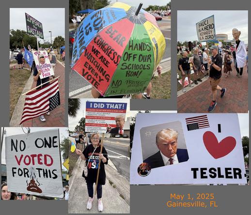 A Collage of signs and people from our local march, best "no one voted for this... turd emoji" "Fauci is a hero, Kennedy is a zero" Trump mug shot with "I heart Tesler".