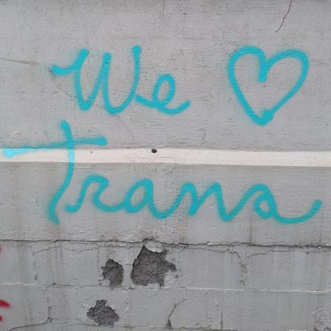 Words spray painted on a white wall. Words are light blue like the trans flag colour.

WE HEART TRANS