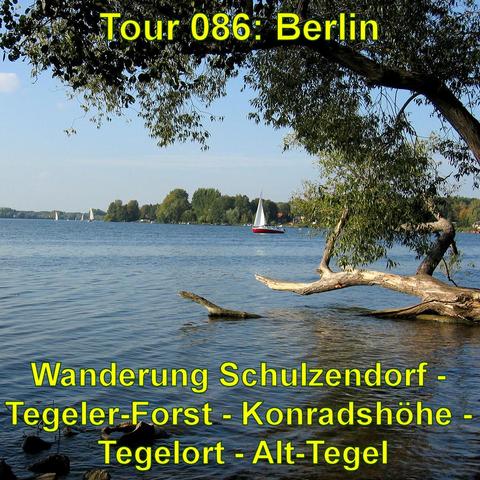 Ein klarer See mit einigen Segelbooten auf dem Wasser, umgeben von üppigen Bäumen. Im Vordergrund ist ein großer, entwurzelter Baumstamm zu sehen, der sich über das Wasser erstreckt. Der Himmel ist blau mit wenigen Wolken.