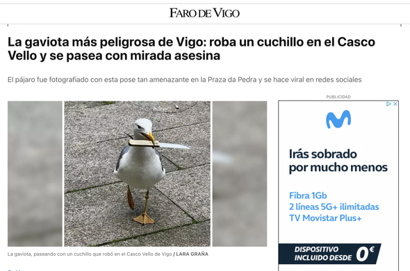 Noticia de Faro de Vigo en la que se ve una gaviota que coge un cuchillo con su pico