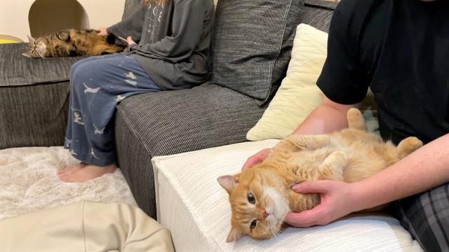 みんな溶けちゃう家族団欒ソファ