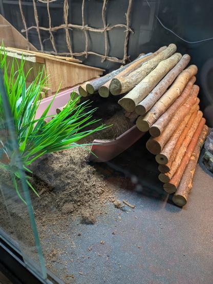 Pink tub covered by a wooden bridge to form a hiding place. There's a barely visible bearded dragon in the tub and she has pushed most of the substrate out of there.