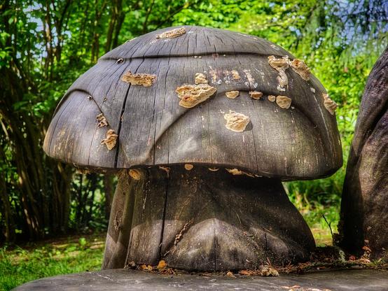 A large, carved wooden mushroom stands outdoors with smaller fungi growing on its surface. The background shows a blurry green forest.