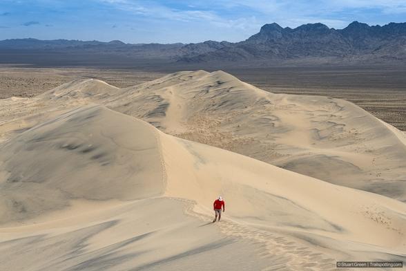 A vast desert landscape stretches across the scene, characterized by golden sand dunes that dominate the foreground and recede into the distance. The dunes display a variety of textures and shapes—some smooth, others adorned with distinct ridges and patterns formed by wind. A single person is present near the center of the image, walking uphill on one of the larger dunes. They wear a bright red shirt and a white hat, making them stand out against the muted tones of the sand. Their footprints trail behind them, carving a temporary path in the shifting sands. In the background, rugged mountains rise sharply, their darker tones contrasting against the warm hues of the desert. Above, the sky is mostly clear, with only a few scattered clouds adding dimension to the vast expanse.