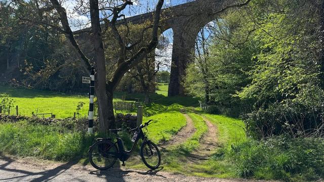 A bicycle is parked on the road in front of a smallish tree - the photo shows only the trunk and lower branches. To the left of the tree is a small black and white fingerpost. Behind is an area of grass, vivid green in bright sunshine and surrounded by leafy trees and shrubs. There is a vehicle track making two rows of bare earth and there are lots of shadows. In the background there is an old stone railway viaduct with big, high arches. The sky is blue with white cloud.