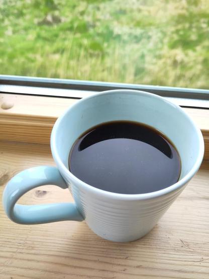 A (blue) mug on the same windowsill, containing a black liquid similar to coffee: it is the result of putting the powder through a french press.

In the background, a garden, blurred.