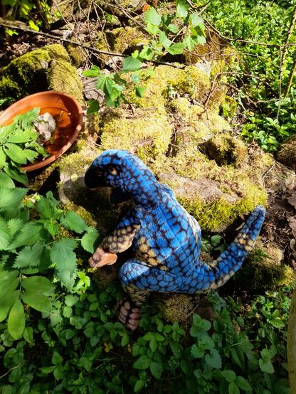View from far away: the same dinosaur but now there are also rocks covered with moss which starts to dry in the heat. Wild herbs (like nettles) give some shadow. There's a bird bath. Stones in the water help insects and dinosaurs to drink, too.