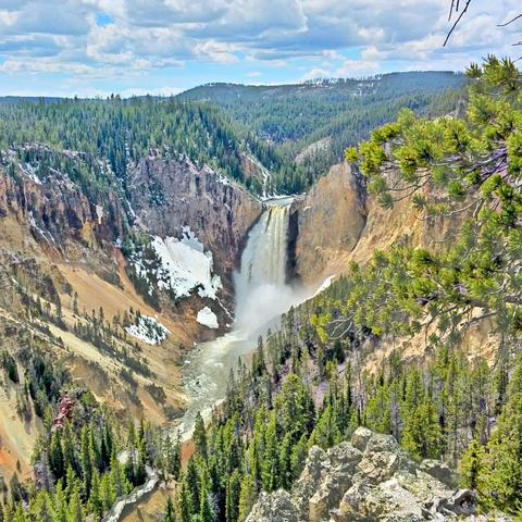 A waterfall in a deep canyon surrounded by forest.