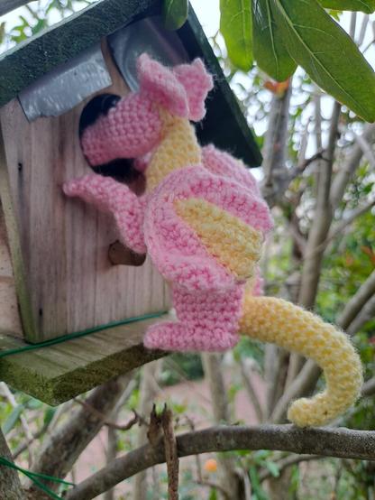 Petit dragon au crochet debout assis sur ses pattes arrière : corps jaune, pattes rose, ailes bicolores, tête rose. Il regarde à l'intérieur d'une cabane à oiseaux.