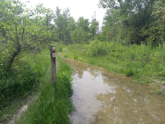 Un chemin de VTT inondé