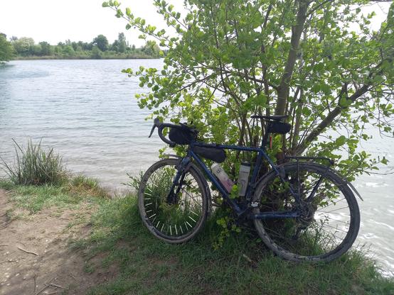 Un vélo de gravel appuyé sur un arbuste au bord d'un lac.