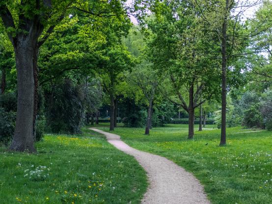 A winding path through a lush green park with trees in Huizen, Netherlands.