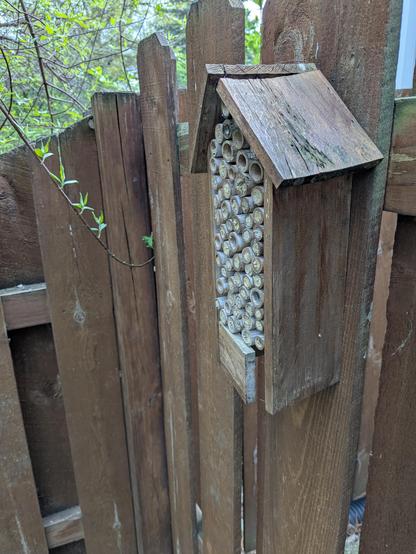 Picture of a bamboo tube bee house taken from an angle. Most of the tubes are covered with tan mud. The house is hanging on a brown stained fence and there is a branch from a Silky Dogwood in front of the house.