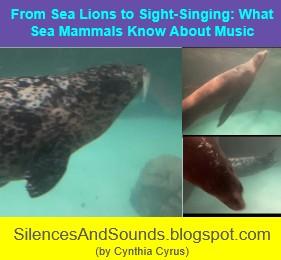 Three images of sea lions from the Georgia Aquarium. Blog post title: From Sea Lions to Sight-Singing: What Sea Mammals Know about Music