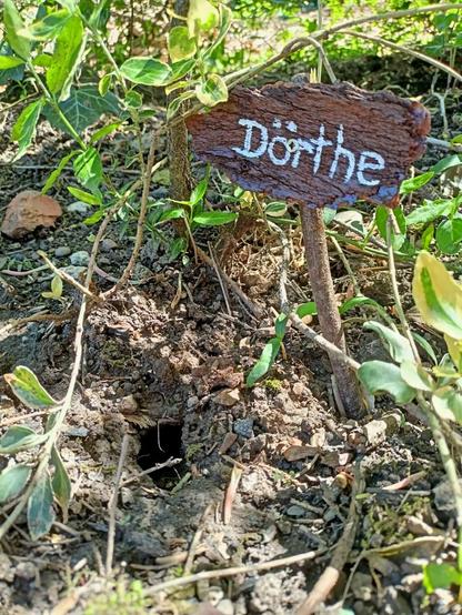 Wühlmauseingang mit einem Namensschild aus Rinde, auf dem "Dörthe" mit weißer Farbe steht.