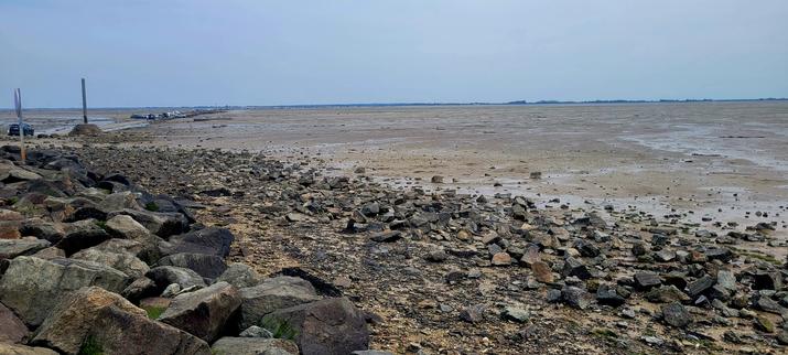 Photo du passage du gois à Noirmoutier. Route submersible qui permet de rejoindre à basse mer l'île et le continent. C'est l'heure de la basse mer et des voitures empruntent le passage por rejoindre le continent. L'estran est visiblle sur toute la photo. Au premier plan des rochers. Le ciel est voilé.