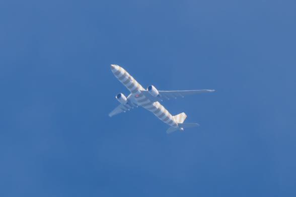 Condor