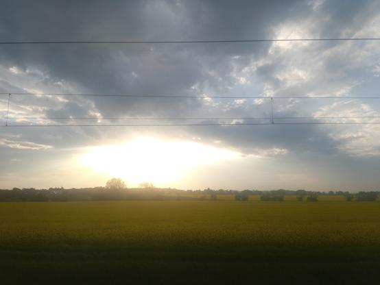 Bild eines Rapsfelds mit einen hellen überstrahlten Sonnenauge und Regenwolken. Im Vordergrund Stromleitung der Bahn.