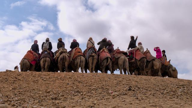 A group of camels is gathered on top of a hill looking away from the camera, with riders sitting on top of them.