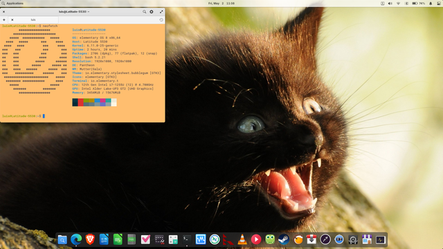 Captura de pantalla del escritorio en ElementaryOS. Se muestra una ventana de terminal ejecutando Neofetch, en la parte de abajo se encuentran los íconos de varias aplicaciones. El fondo de pantalla es una foto de un gato negro bebé, tiene la boca abierta (posiblemente maullando); pero da la impresión de que se está riendo.
