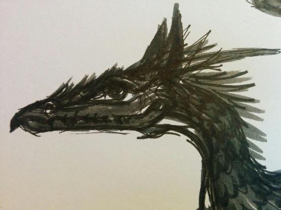Marker black and white dragon on paper.