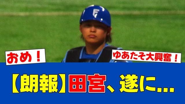 【朗報】中島健人が田宮ファン公言！エスコンで初始球式【日ハムファンの反応】【F速報】