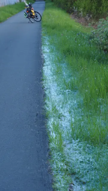 Es sieht aus wie Schnee am Wegesrand