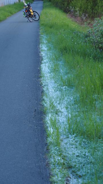 Es sieht aus wie Schnee am Wegesrand