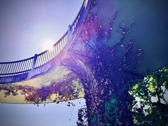 Thick vines nearly swallow whole the large, concrete column for a circular walkway that trails up and off to frame left, as the sun shines brightly over its safety railing on a clear afternoon.