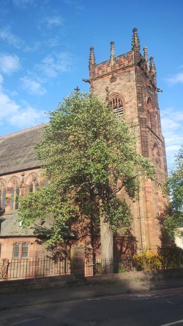 Victorian Gothic church and square tower of red sandstone lit by evening sunlight, contrasting with the greenery of a tree in the foreground of the image