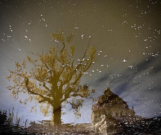 A reflection in water shows a large tree and a building with a dome. The surface is disturbed with floating bubbles and ripples, creating a textured effect.