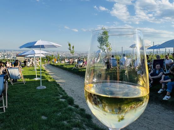 A glas of white wine in the foreground, in the background Vienna seen from Nussberg