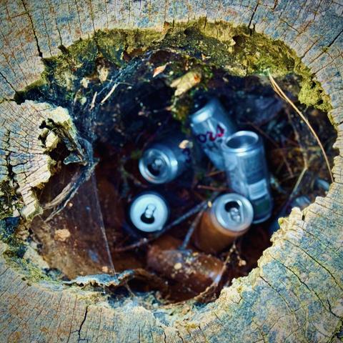 A hollowed-out tree stump is viewed from above, with spider webs and beer cans littered inside.