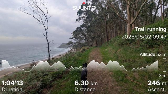 Paddy the Irish mutt leading me on a path that runs in a forest with views of the beach to the left with waves crashing into the cliffs in the distance. My running stats imprinted on top