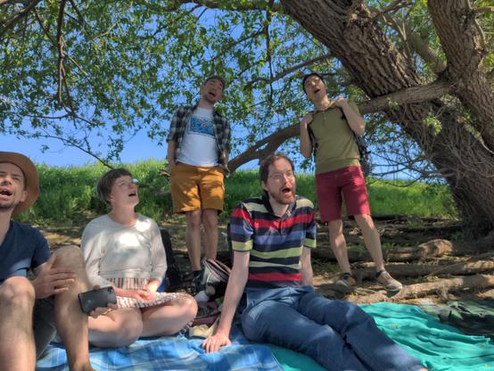5 SängerInnen des Vokalwerks beim singen auf einer Picknickdecke unter einem Baum mit grüner Wiese und blauem Himmel im Hintergrund