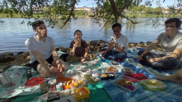 4 SängerInnen des Vokalwerks auf einer Picknickdecke mit vielen Snacks. Am Elbufer gegenüber von Schloss Übigau (im Hintergrund)
