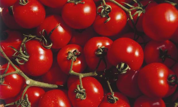 Unos tomates almacenados. (JOANNA MCCARTHY VIA Getty Images)