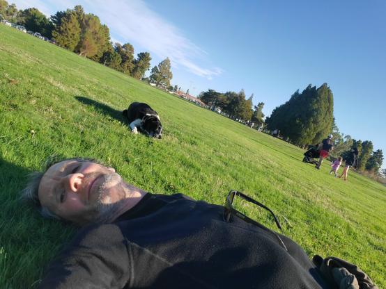 Human and dog both lying flat on a grassy park, trees and bluesky in the background.