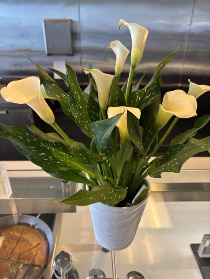 Off white lilies, work cafeteria.