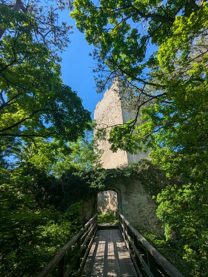 Wooden bridge to castle ruins. A square tower with trees partially obscuring the view.
