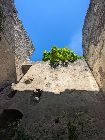 In a room without roof in the castle looking upwards to the blue sky. A tree grows over the wall.