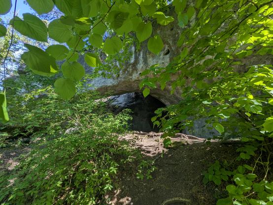 The entrance of the cave viewed through leaves.