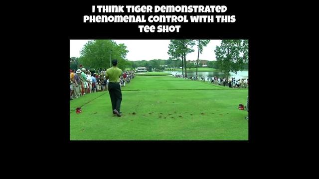 Tiger Woods Amazes With Incredible Tee Shot! #golf #tigerwoods #pgatour