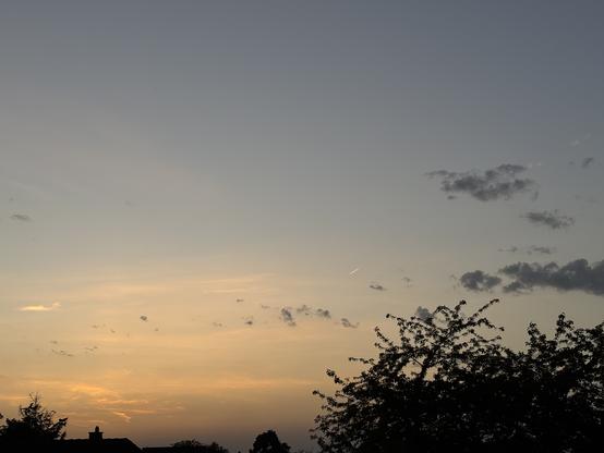 Am rechten unteren Bildrand ragt die Baumkrone eines Baumes als Silhouette ins Bild. Im Hintergrund der schleirig diesig hauchzart bewölkte Himmel. Im Übergang vom Tag zur Nacht geht der Himmel von pastellorange in zartes unklares orangeblau über von unten nach oben. Die Sonne ist nicht mehr zu sehen und wirft ein allerletztes Licht über den gesamten Himmel.