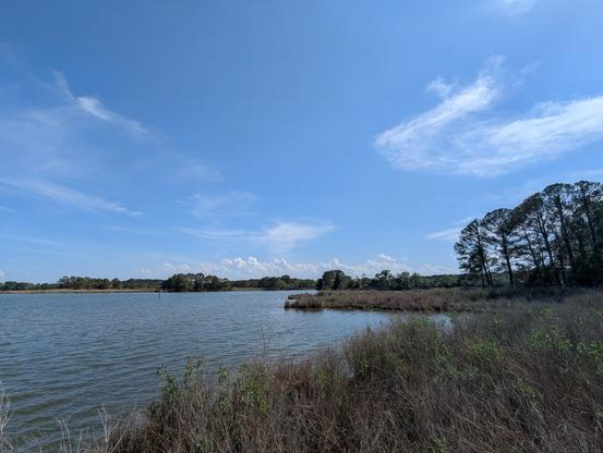 Photo of a calm afternoon on Harris Creek sky is deep blue with streaks of wispy white cirrus and building cauliflower cumulus on the horizon. Marsh is vibrant green with new growth. Creek water is rippled and reflects the sky and clouds.