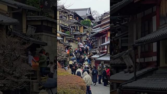 Kyoto, Japan 🇯🇵 #shorts #kyoto #japan