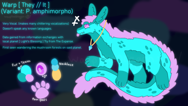 a reference drawing of an aqua colored creature called an amphimorpho. it has bunny-like ears and a long body, and a long tail too. this one has a pink mane and the body has dark cyan spots. the paws are also dark cyan in color, and the pawpads pink. there is text that reads: Warp [ They // It ], Variant: P. amphimorpho. Very vocal, makes many chittering vocalizations. Does not speak any known language. Data obtained from information exchanges with local planet Light's Blessing located seven light years from The Dreamite Expanse. First seen wandering the glowing mushroom forests on Light's Blessing.  below the text is a color palette of the character.